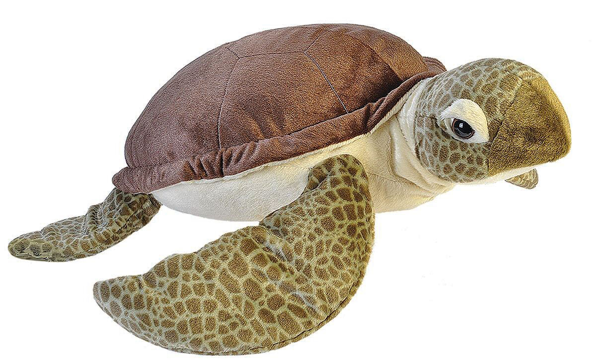 https://www.h2opassion.fr/wp-content/uploads/2019/03/19332-CK-Jumbo-Sea-Turtle_preview.jpg